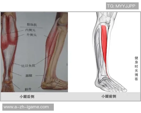 踢足球锻炼腿部肌肉让腿部线条更加粗壮的秘密解析